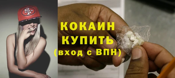 гидра Арсеньев