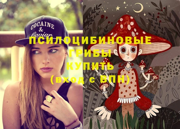 бошки Армянск