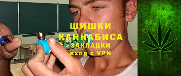 винт Алзамай